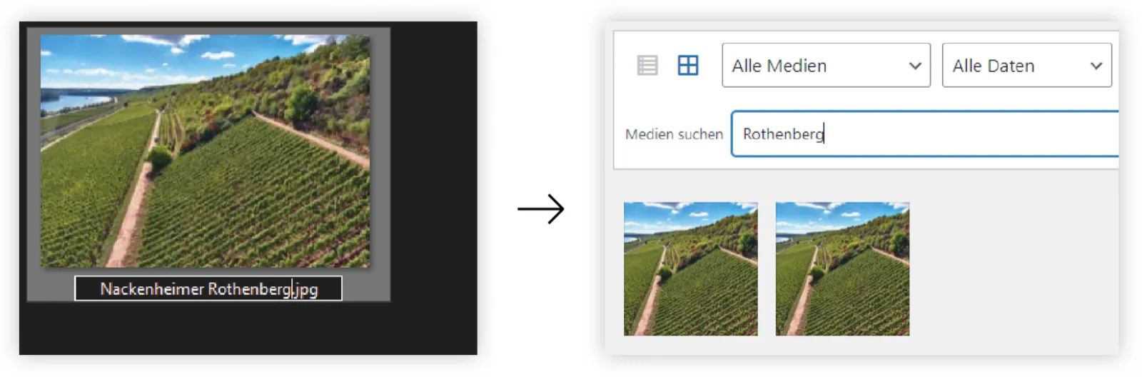 Bildbenennung Screenshot Titel