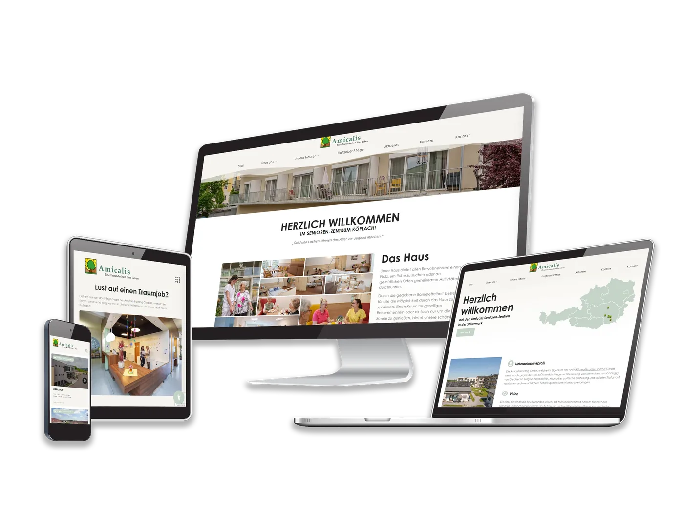 Amicalis Holding GmbH, Ansicht der Website