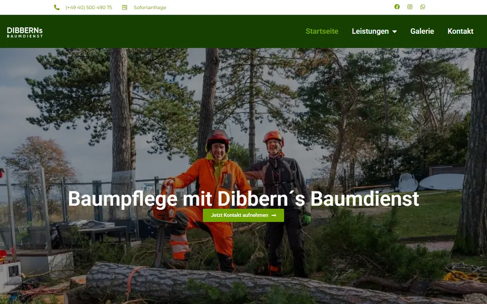 Website von Dibberns Baumdienst