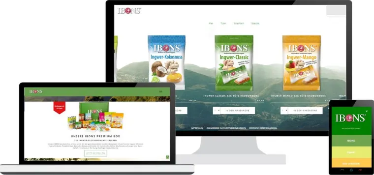 ADence Agentur Webdesign IBONS